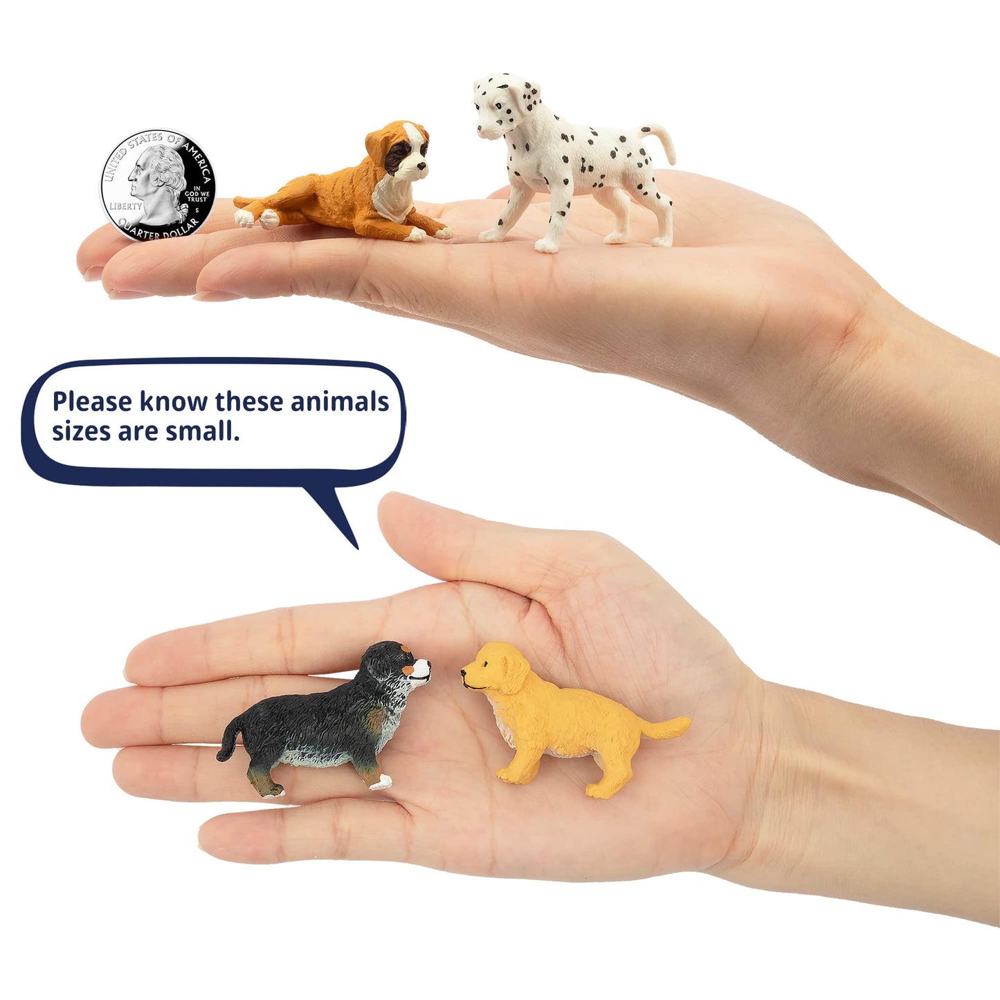 Toymany 12Pcs Mini Dog Figurines Playset, Realistic Detailed Plastic Puppy Figures, Hand Painted Emulational Tiny Dogs Animals Toy Set, Cake Toppers Christmas Birthday Gift For Kids Toddlers