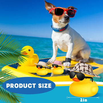 Chivao 12 Pcs Mini Rubber Ducks With Sunglasses/ Glasses And Hats/ Necklace, Cruise Rubber Ducks In Bulk Valentine Gift Small Ba