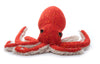 The Petting Zoo Pacific Red Octopus Stuffed Animal Plushie, Gifts for Kids, Wild Onez Sealife Animals, Octopus Plush Toy 8 inche