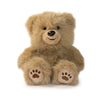 Honeywood Bear: A Plush Toy for Caregivers, Nurturers, and Comfort Givers