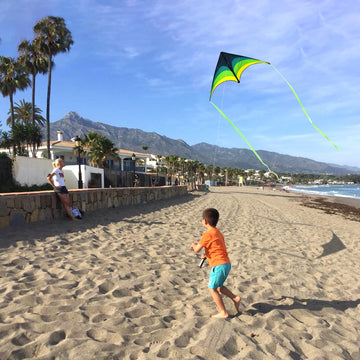 Kaiciuss 2024 New Kite & Reel Winder Set For Kids And Adults, 60 X 29.5 Large Single Line Easy To Fly And 7.1 Spool Include Safe