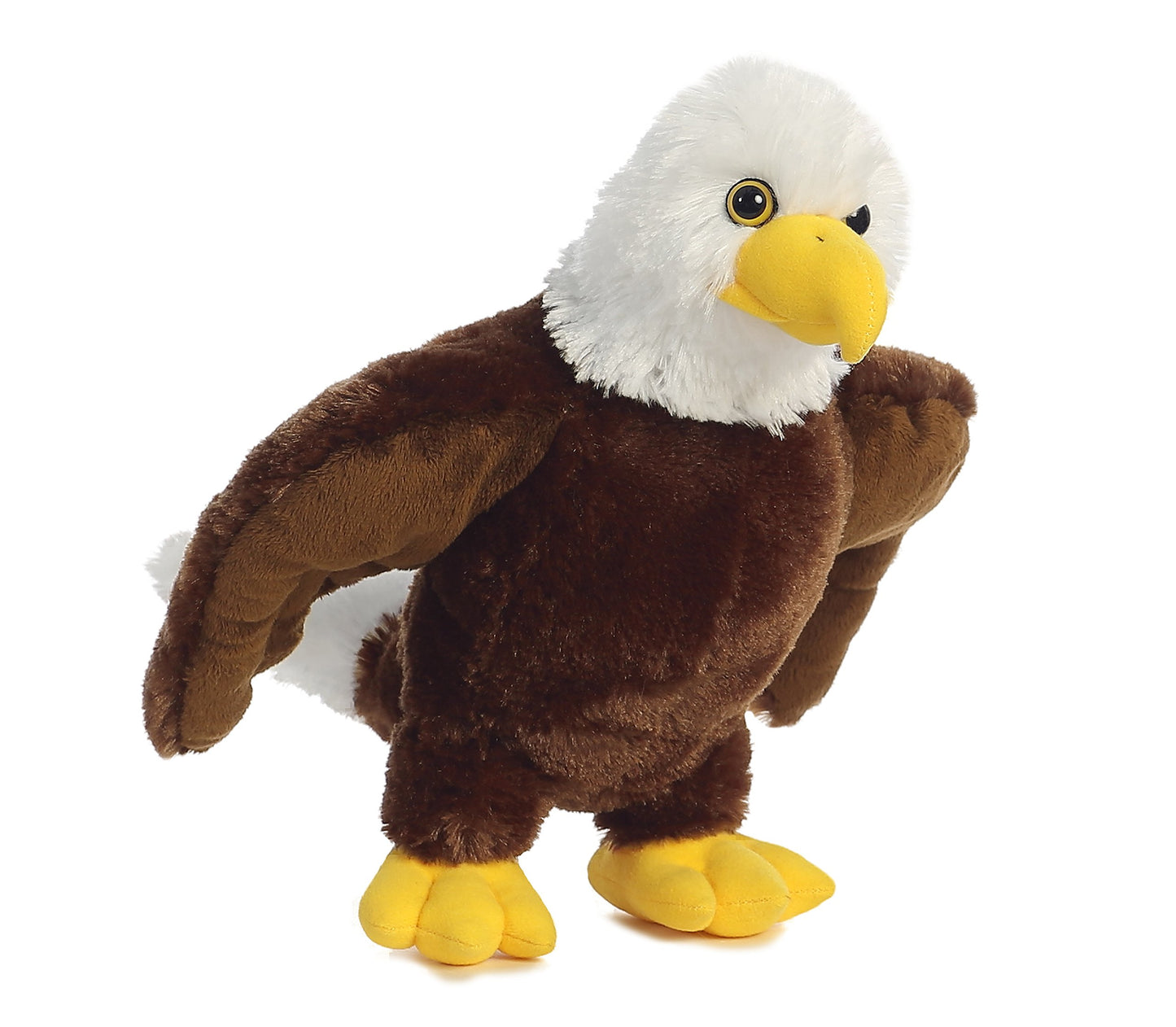 Aurora - Destination - 12' Eagle