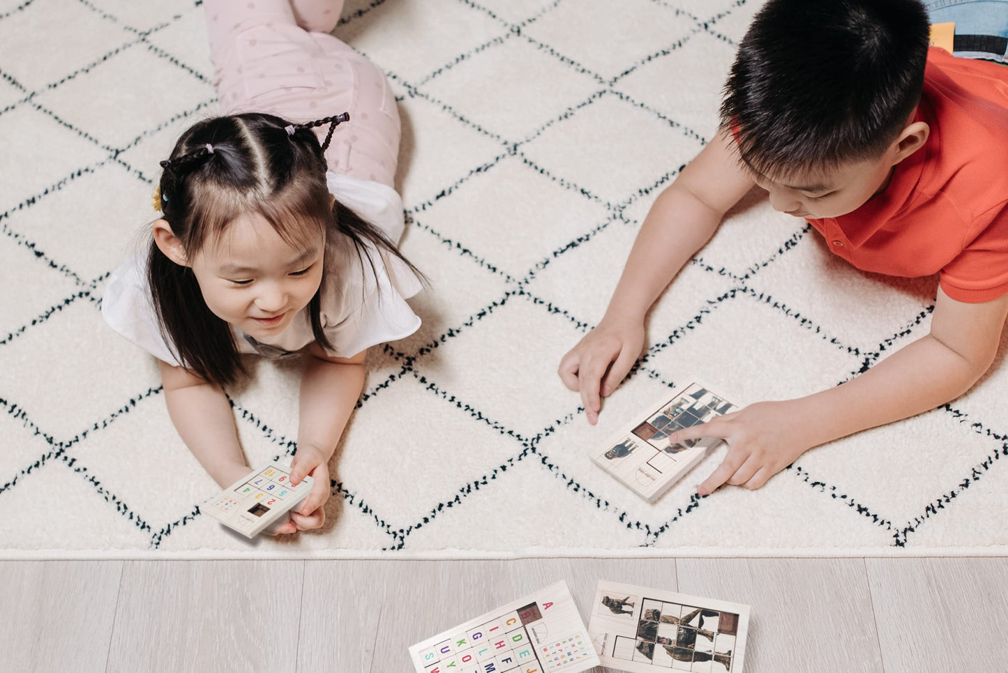 Wooden slide puzzles block (Lion)