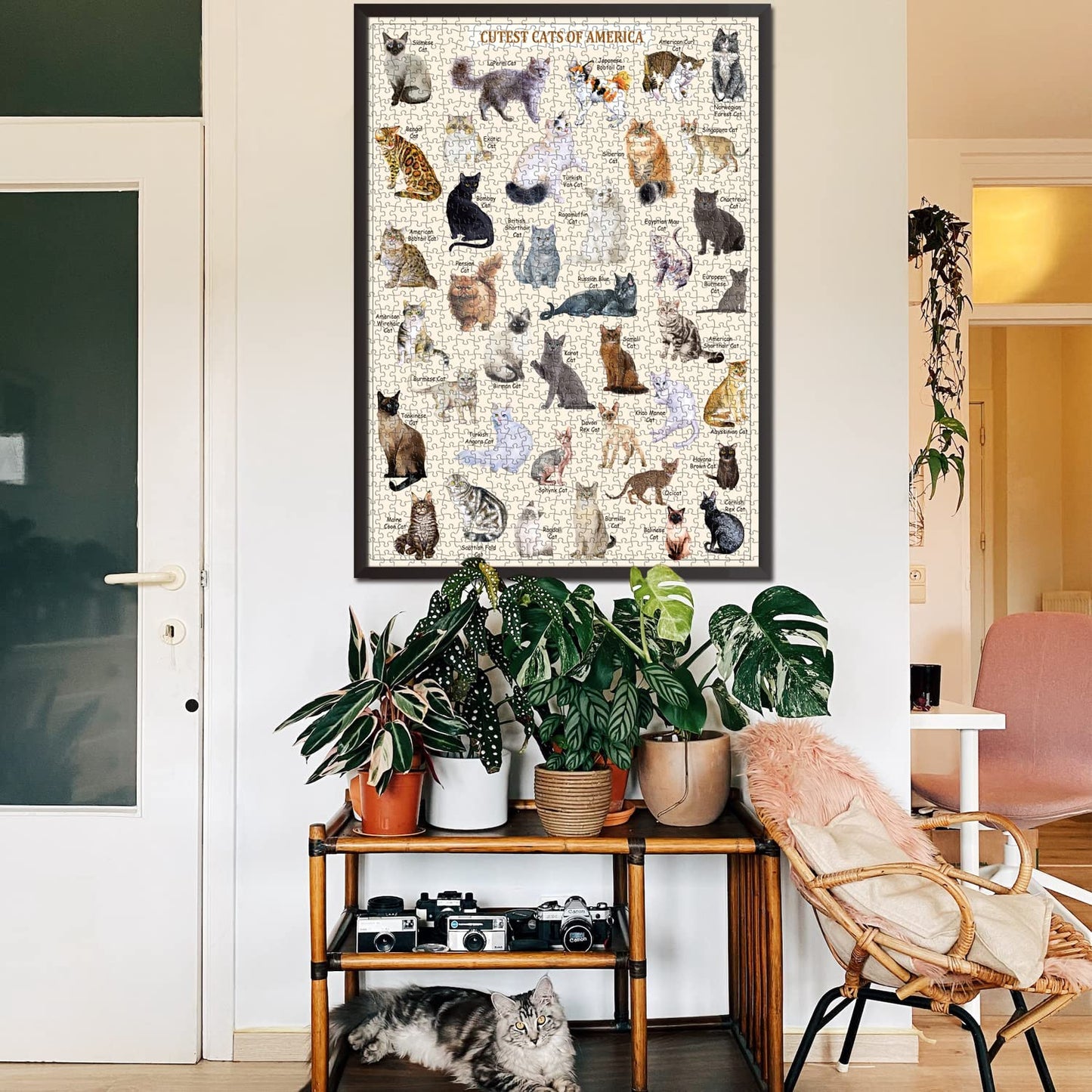 Cat Puzzles For Adults 1000 Pieces And Up,Vintage Kitty Puzzles For Adults, Animal Feline Jigsaw Puzzle Kittens