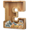 Aorcmitn Extra Large Wooden Letter Coin Piggy Bank For Boys Girls Kids Toddler Alphabet E Money Bank (Initial-E-12)