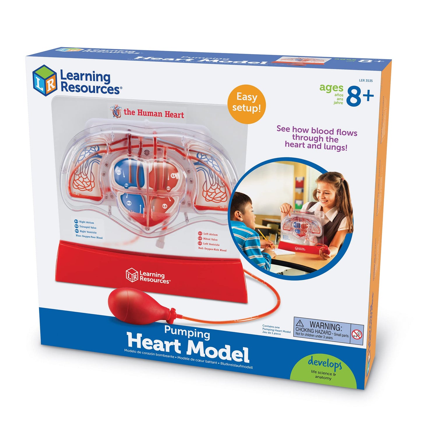 Learning Resources Pumping Heart Model - 1 Piece, Grades 3+ | Ages 8+ Educational Science Kit, Science Education Supplies, Science Teaching Supplies,Back To School Supplies,Teacher Supplies
