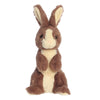 Aurora Vibrant Spring Sitting Pretty Bunny Stuffed Animal - Decorative Charm - Endless Fun - Brown 14 Inches