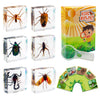 Insect Specimen Set, Bugs Collection Scientific Education Gift For Kids Aged 3-8-12 (Spider, Scorpion, Cricket, Chafers, Stink Bug, Spotted Lanternfly Resin Collection)