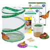 Insect Lore Butterfly Garden With Live Cup Of Caterpillars | English And Spanish Stem Activity Journals | 5 Painted Lady Butterfly Baby Caterpillars And Mesh Habitat