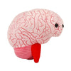 GIANTmicrobes Brain Plush Toy - Medium Pink Foam Stuffed Animal for Neurology Gifts, Surgery Recovery, and Brain Decor - Model 846869008623