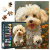 Adults Puzzles Animals Pet Jigsaw Puzzles Bichon Frise Lovely Dog Picture Puzzle Adults 1000 Pieces Puzzles for Men Lady Unique