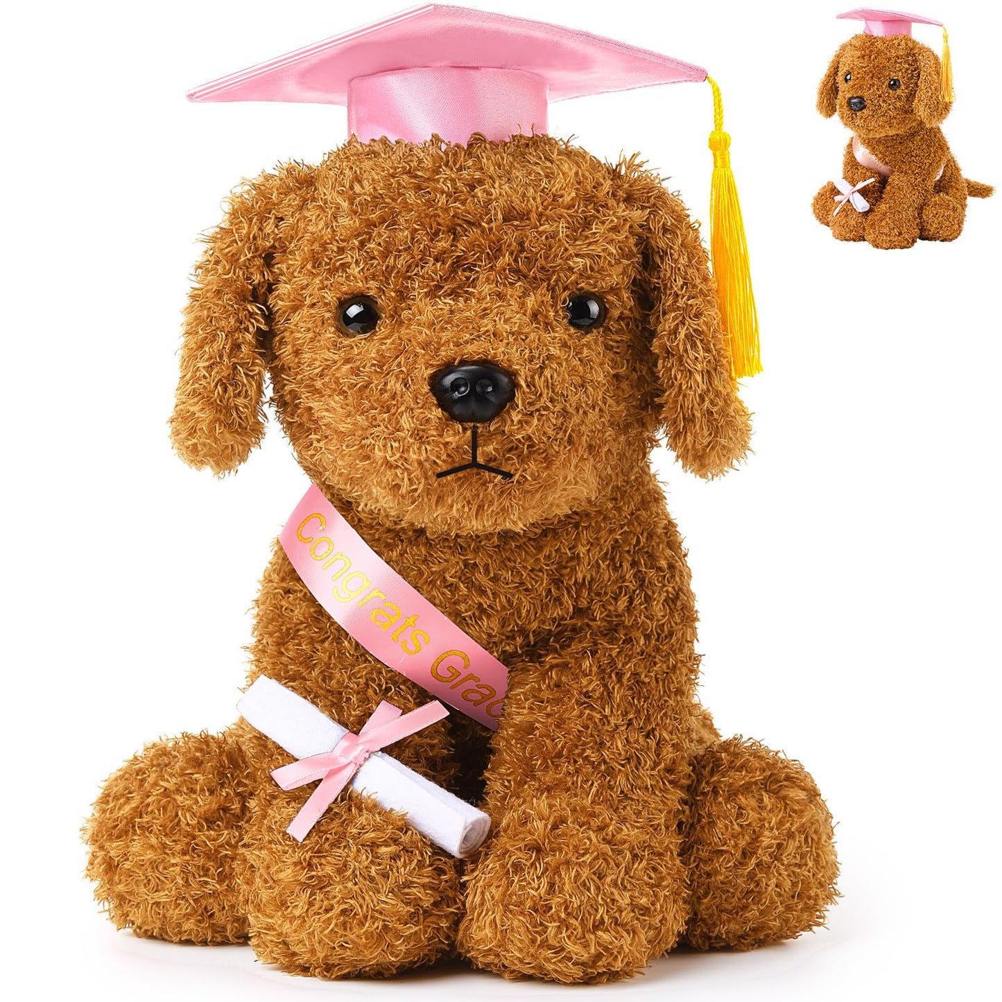 Chalyna 10 Inch Graduation Season Dog Preschool Plush Stuffed Animal Kindergarten Graduation Puppy with Hat, Diploma and Sash, P
