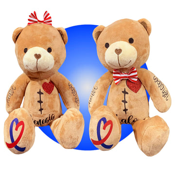 Personalized Heart Warrior Teddy Bears - Baby Heart Surgery Gift - Open Heart Surgery Bears - Custom Scar Buddy - Chd Awareness