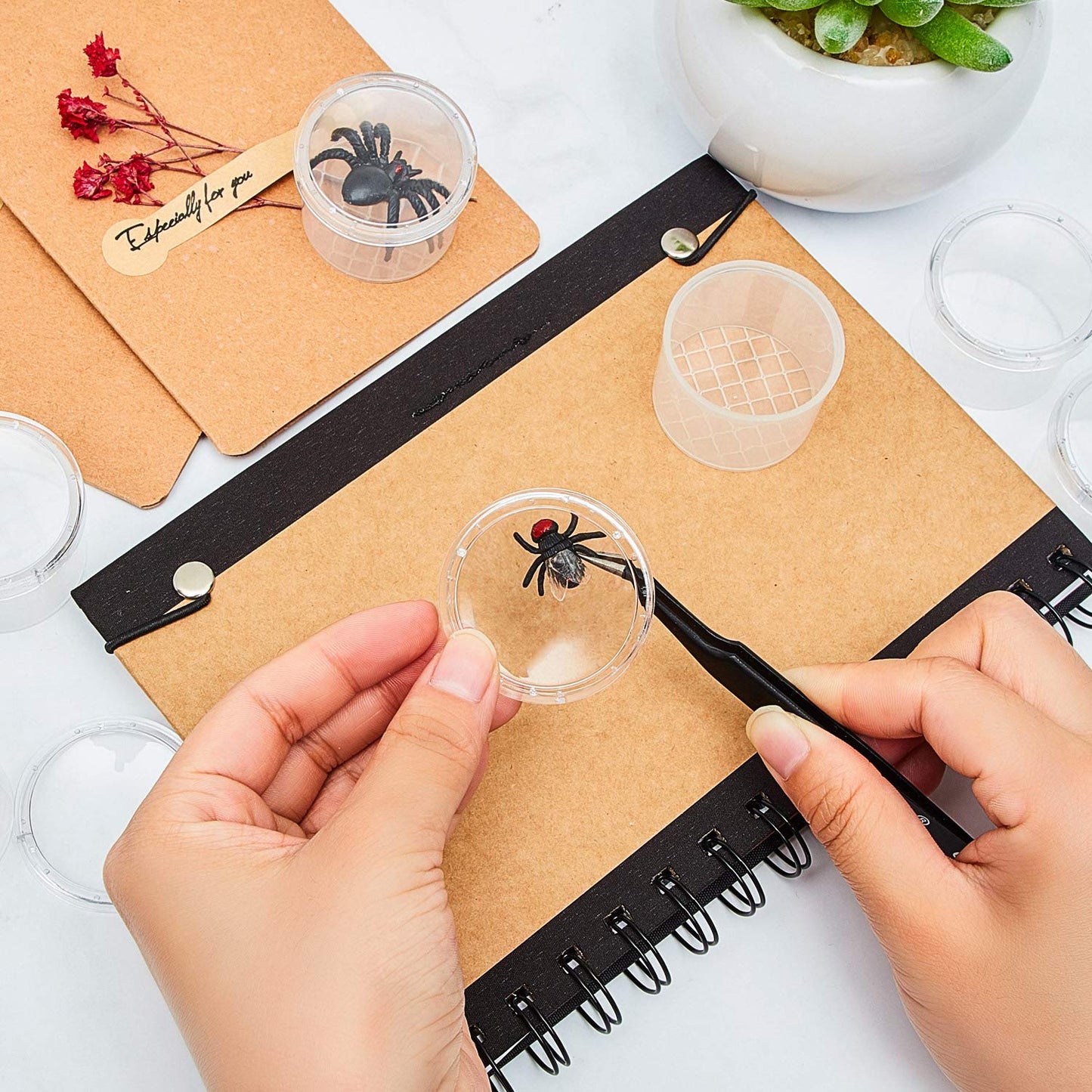 Sumind 30 Pieces Bug Viewer Critter Cage Catcher Magnifying Box Bug Magnifier Container Bug Catcher Cage Magnifying Box Container For Science Nature Exploration Tools
