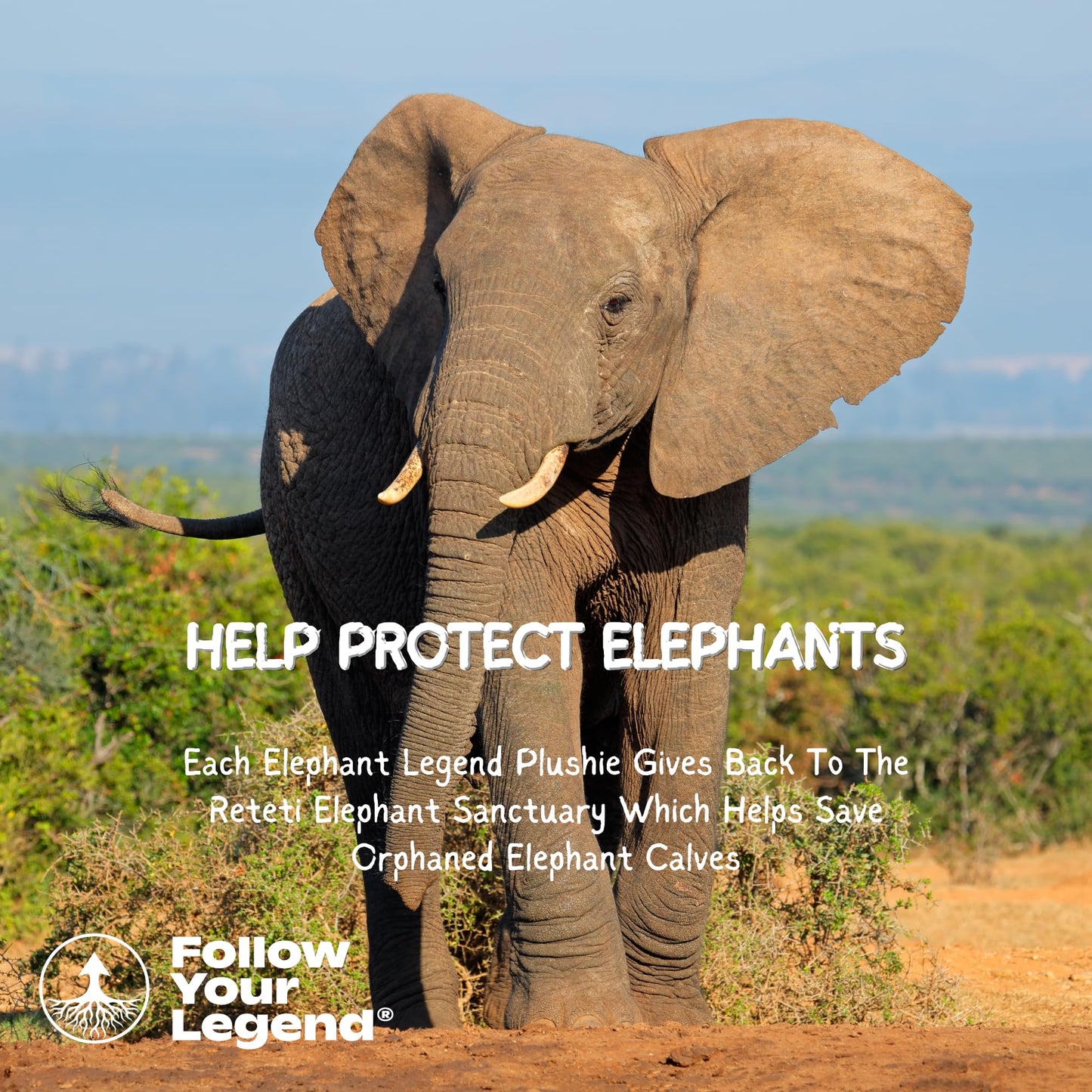 Follow Your Legend Timmy 9'' Baby Elephant Plushie With Milk Bottle - Adopt Me Plushies, Stuffed Animal, Cute Plushies