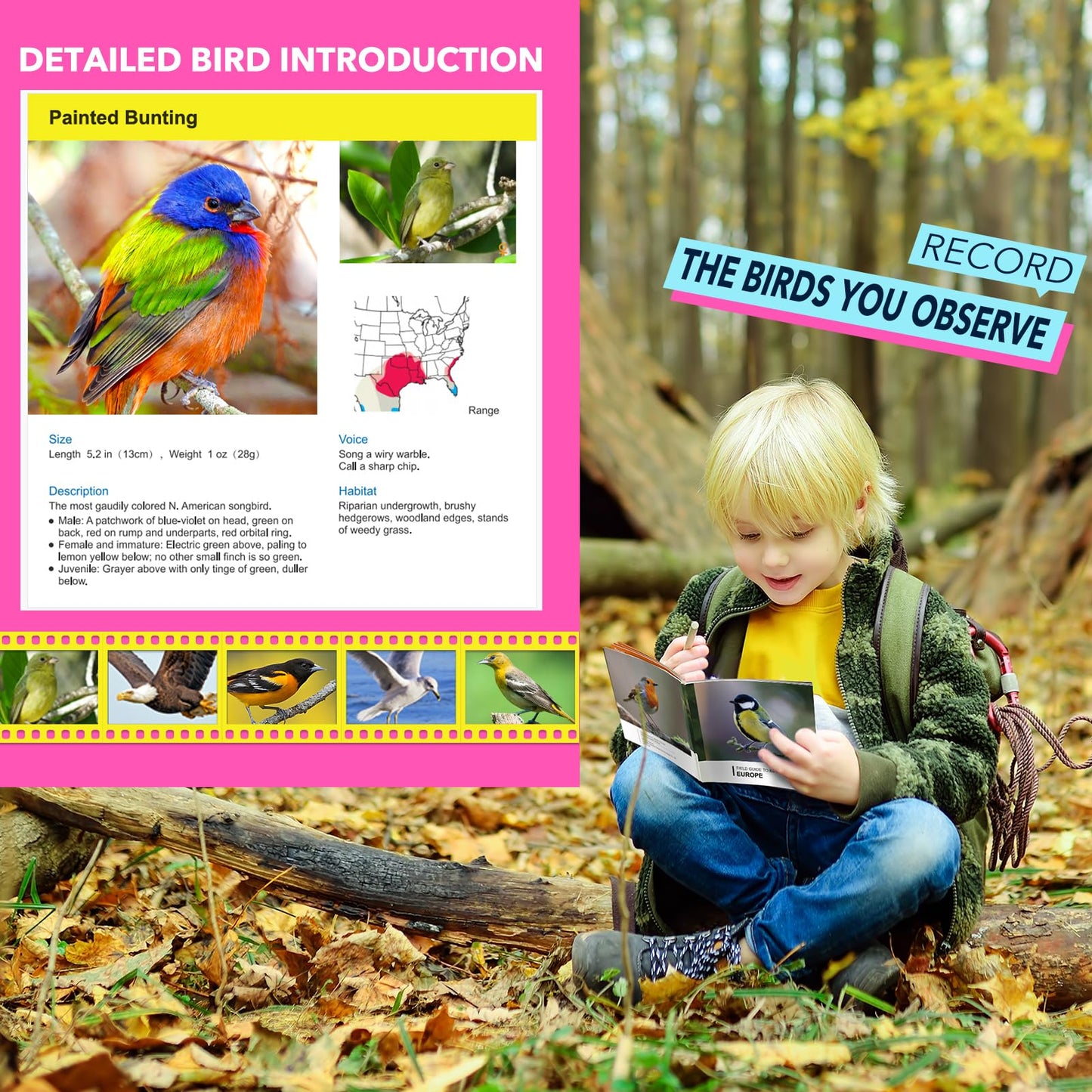 Toys For 3-7 Year Old Girls: Let'S Go! Binoculars For Kids Bird Watching|Hiking|Camping 4 5 6 7 8 Year Old Girl Boy Easter Birthday Gifts Outdoor Learning Toy For Kid Ages 4-6 Toddler Gift Stuffers