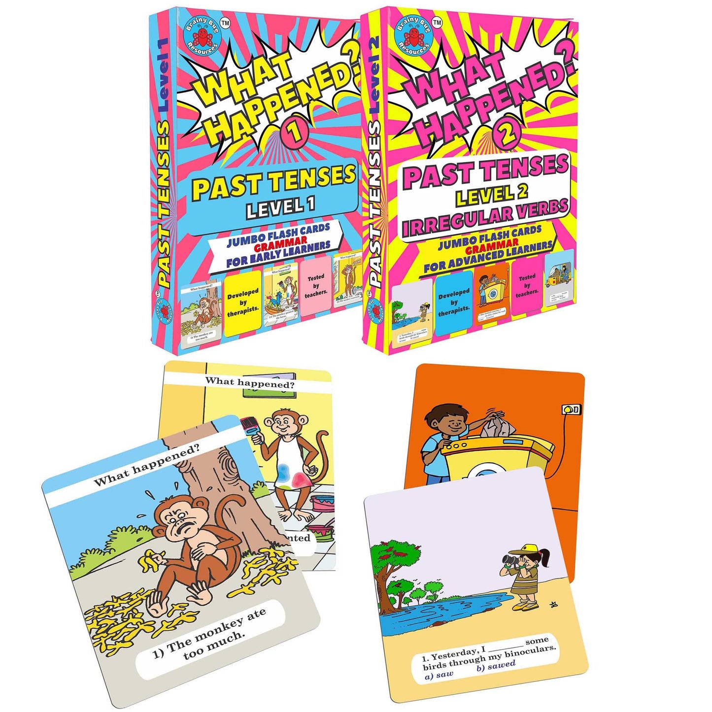 Brainy Bug Resources Flashcards And Child Resources For Teaching Language_Skills Educational Flash Cards(Past Tenses - Levels 1