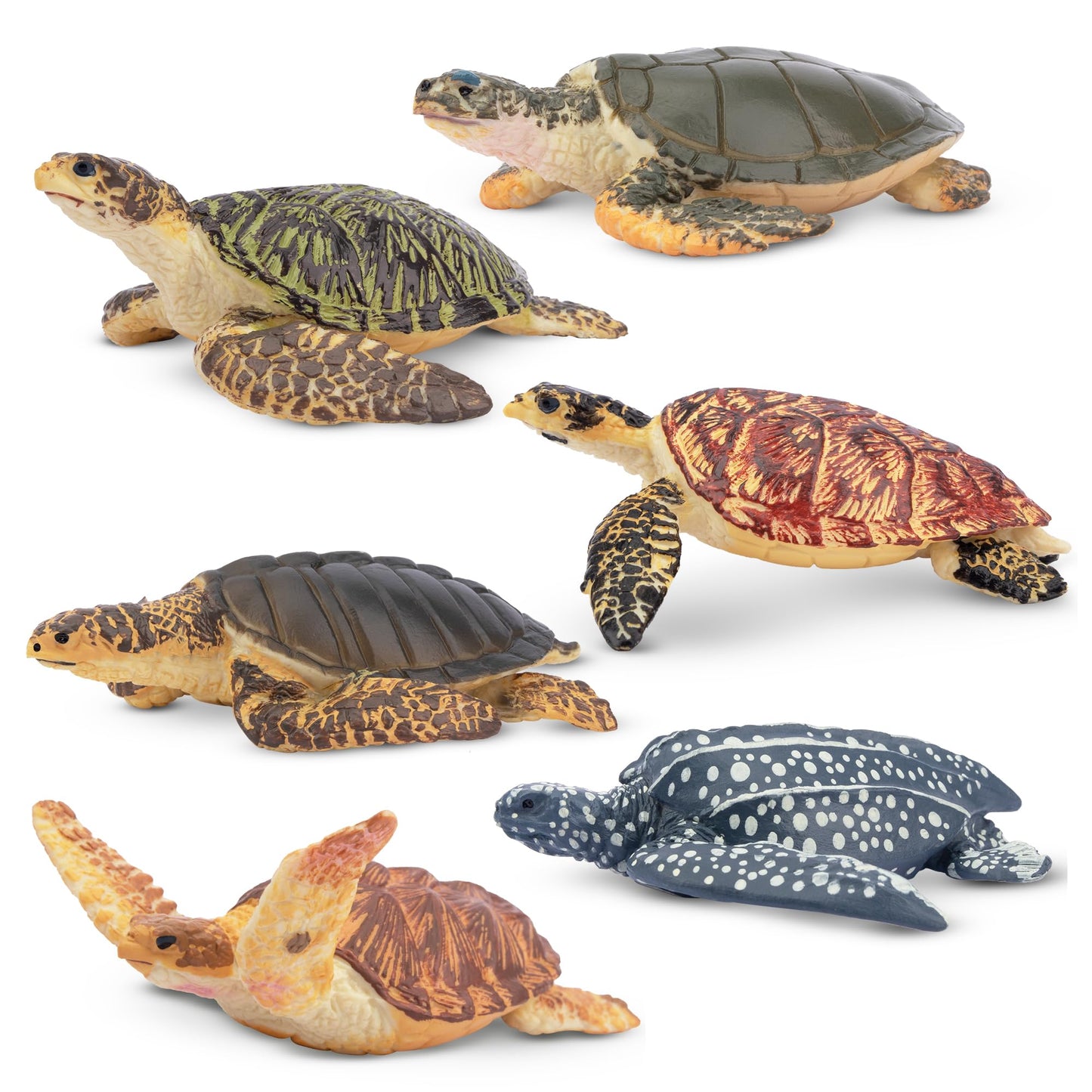 Toymany 6PCS Sea Turtle Figurines Set - Realistic Plastic Ocean Animals for Kids, Educational Toy, Cake Toppers, Birthday Gift