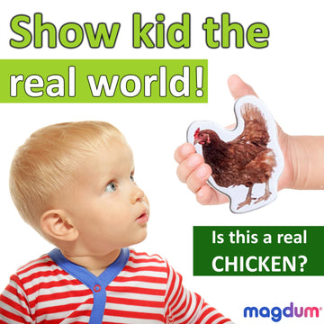 Magdum 16 Farm Photo Fridge Magnets for Toddlers - Large Multi Color Animal Magnets - Cardboard + Magnet Model 4031-04 EN