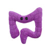 Giantmicrobes Colon Plush, Colonoscopy Gifts, Funny Colon Gifts, Colon Cancer Gifts, Gastroenterology Gifts, Colorectal Cancer Awareness, Gastroenterologist Gifts, Guts Plush Toy, Endoscopy Gifts