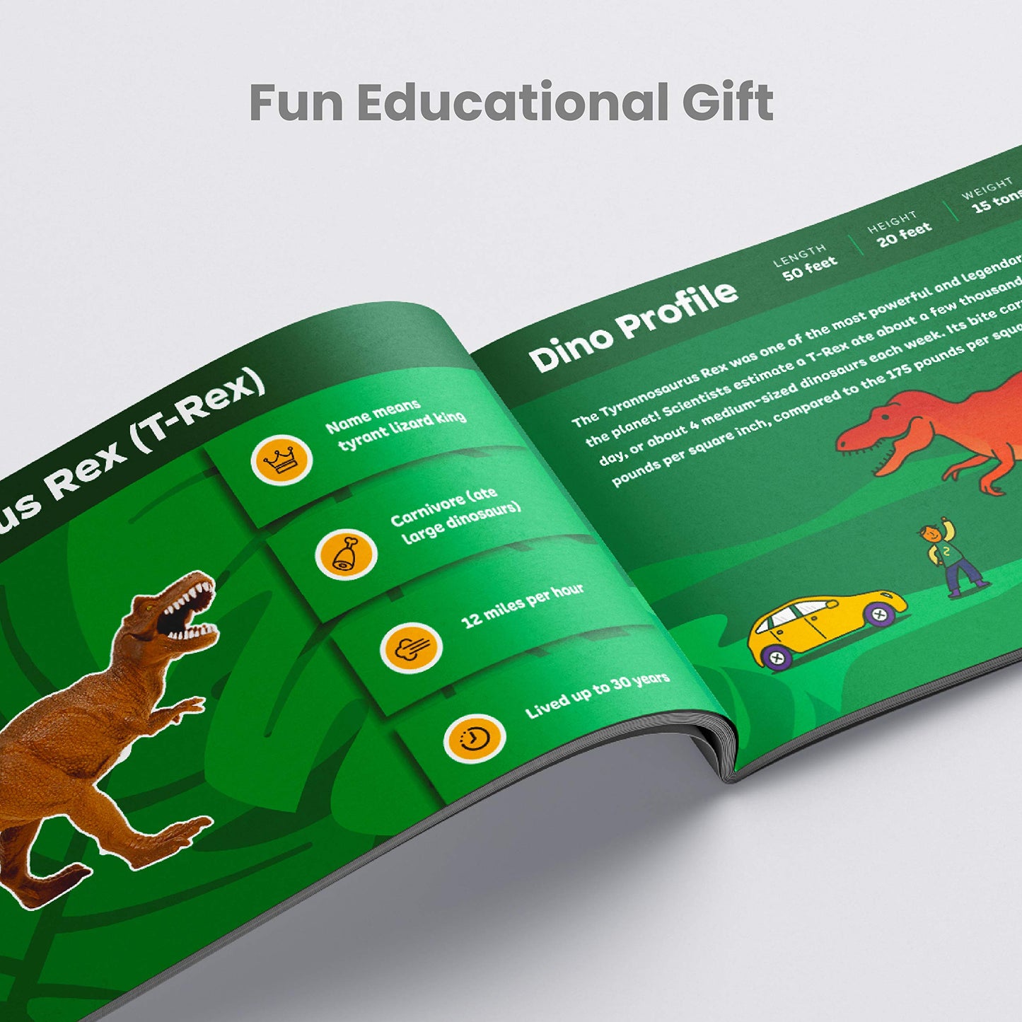 Boley 14-Pack Dinosaur Toys For Kids With Educational Booklet - 9' Realistic Dino Figures For Boys & Girls Ages 3+ - Includes T-Rex, Raptor, Stegosaurus, Triceratops, And More