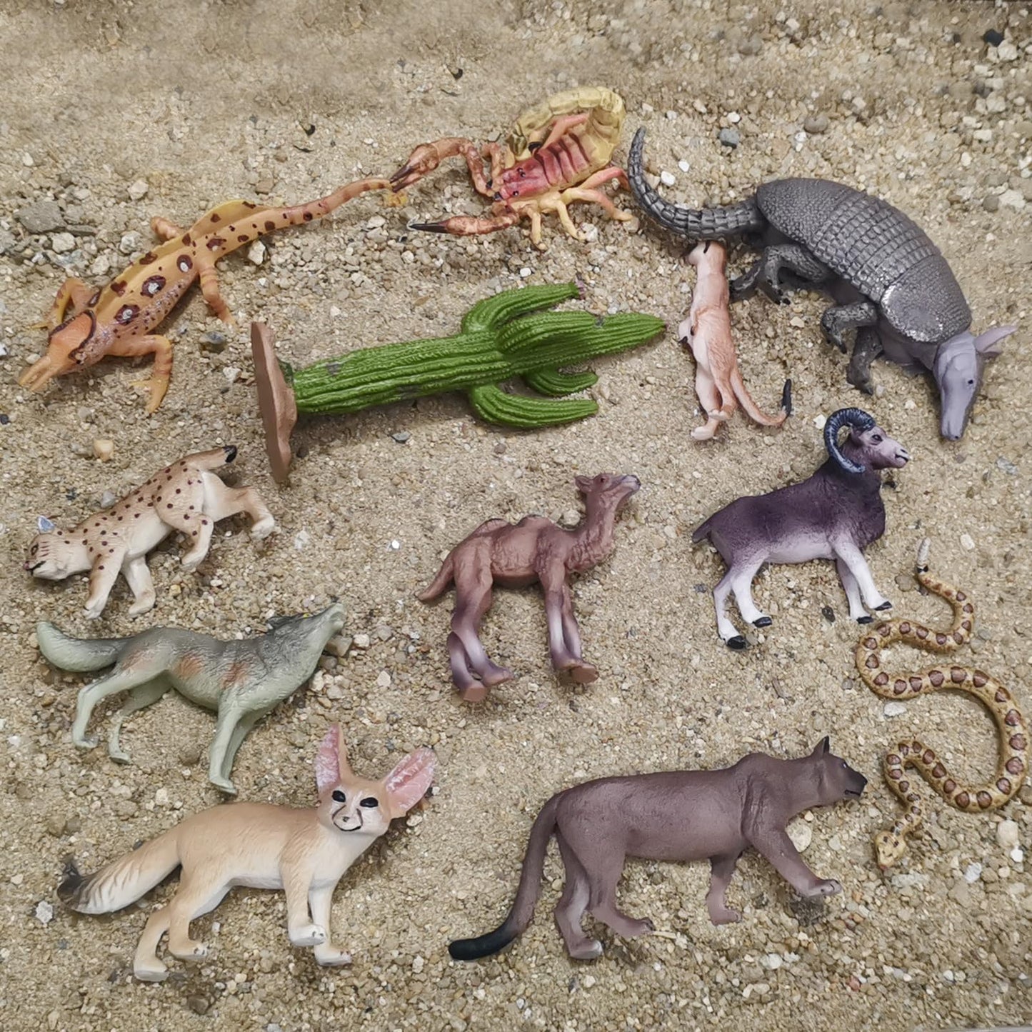 Bretoyin 12-Piece Desert Animals Figurines Set - 6 Inch Realistic Toys For Kids, Toddlers, School Projects, Birthday Gifts, And