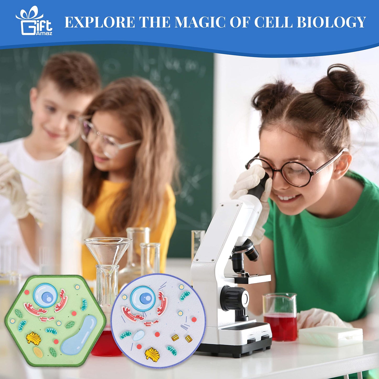 Giftamaz Animal And Plant Cell Anatomy Model, Soft Felt Toy, Early Cell Biology And Life Science Stem Toys, Classroom Teaching Aid, Educational Learning Activities Stem Birthday Toys For Kids 6+