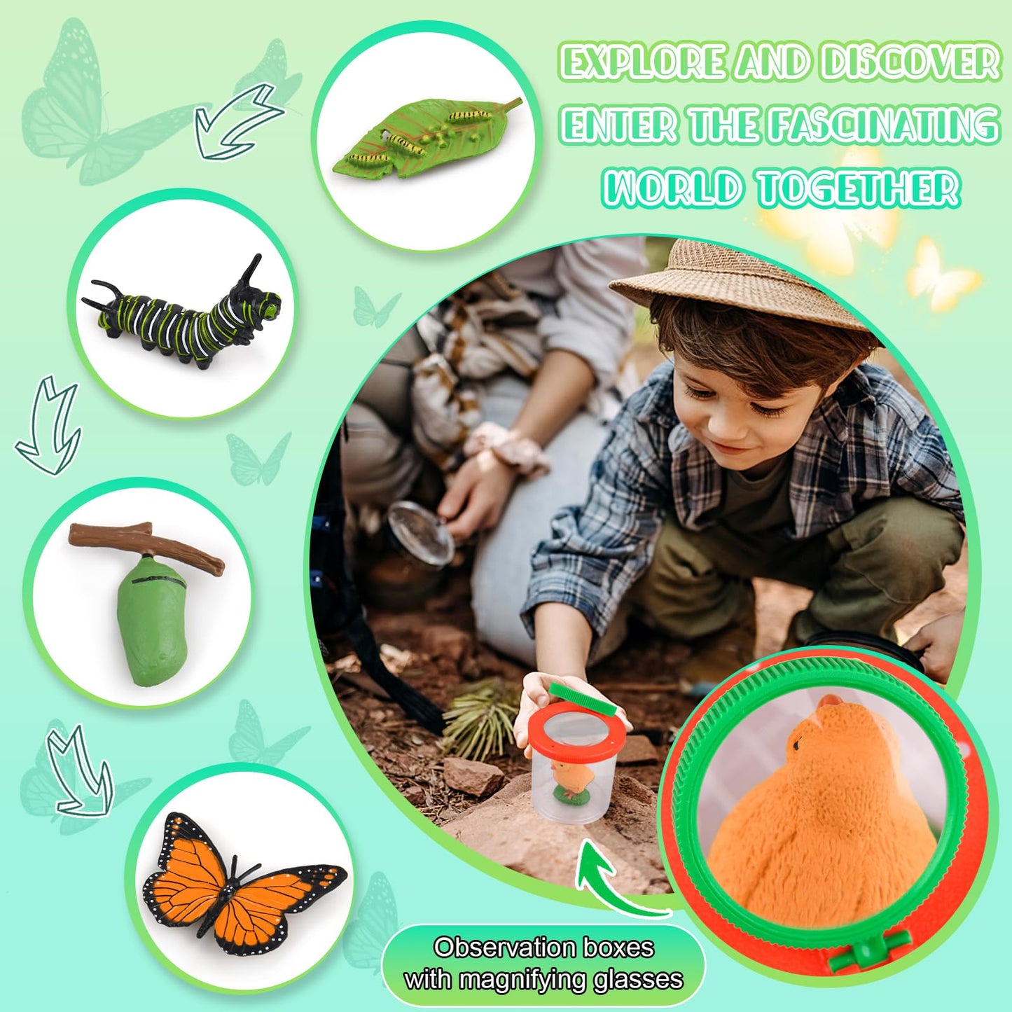 Life Cycle Learning & Education Toys, Montessori Toys Animal Toy Figurines For Frog, Butterfly, Chicken, Ladybug - Educational &
