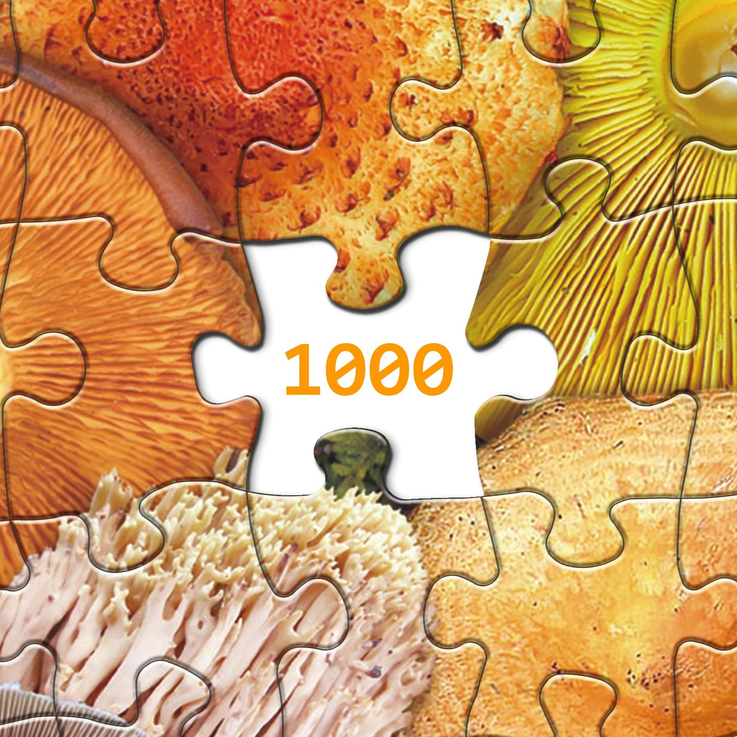 Mushroom Puzzle 1000 Piece Puzzle For Adults, Colorful Mushroom Jigsaw Puzzles, Shrooms In Bloom Toadstool Nature Plant Puzzle Rainbow Fungi Puzzles