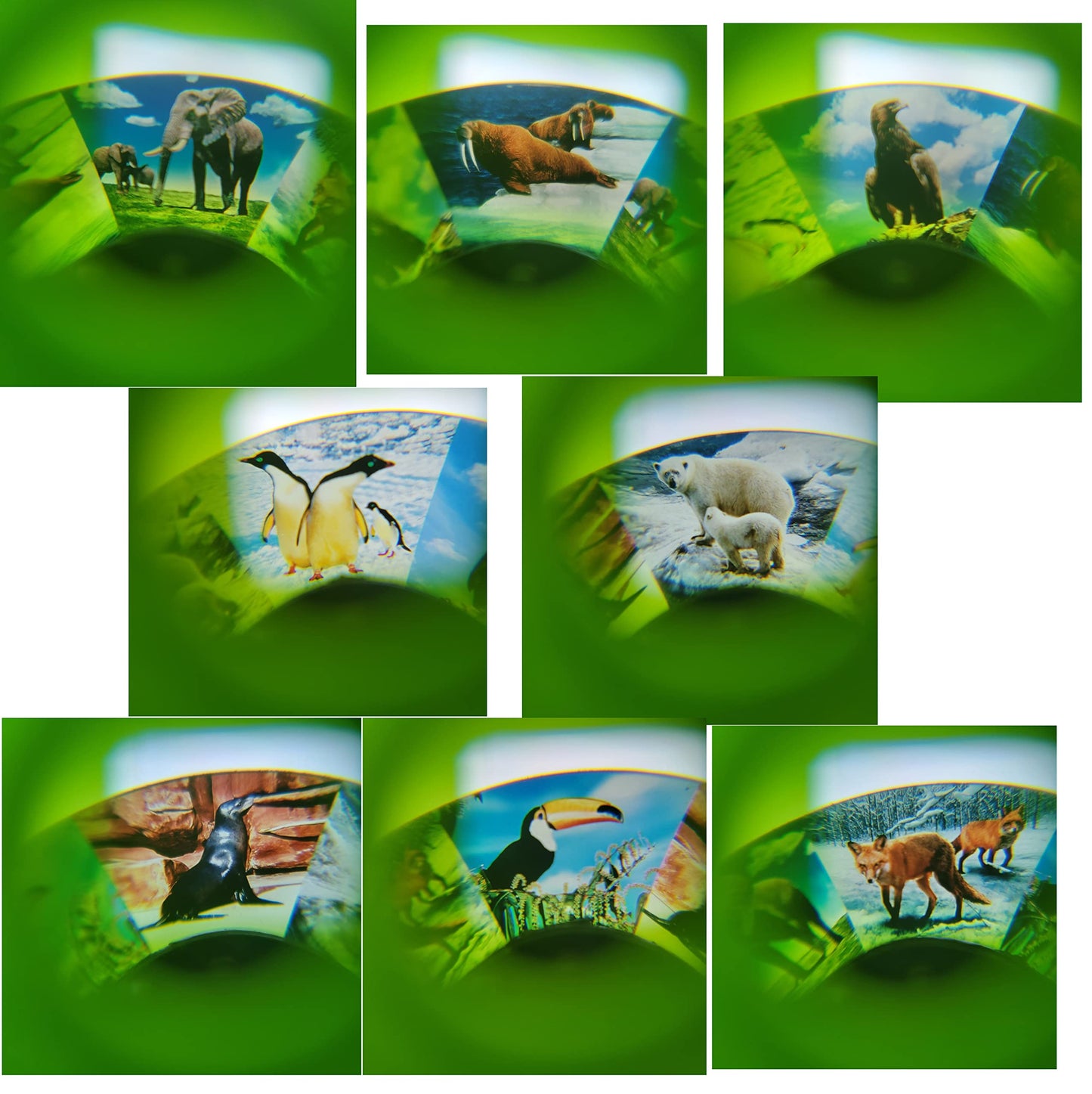 Kids Pretend Animal Theme Camera Toy Set (3 Pack) Colorful Cameras with 8 Wild Animal Images (3 Pieces)