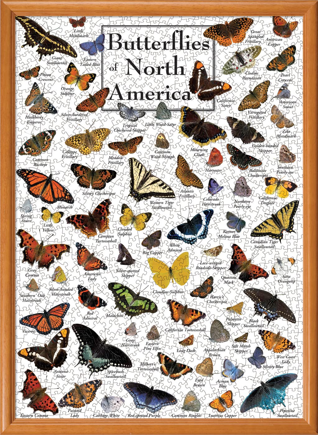 Masterpieces 1000 Piece Jigsaw Puzzle For Adults, Family, Or Youth - Butterflies Of North America - 19.25''X26.75''