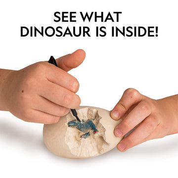 Blue Marble NATIONAL GEOGRAPHIC Dinosaur Dig Kit - 12 Dino Bricks & Excavation Tool, STEM Toy for Kids, Multi-color, Medium Size