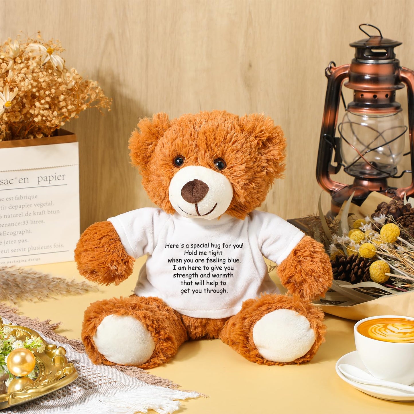 Lenwen a Bear Hug Gift Get Well Soon Bear Sympathy Gift for Women Plush Stuffed Animal Hug Thinking of You Condolences Memorial