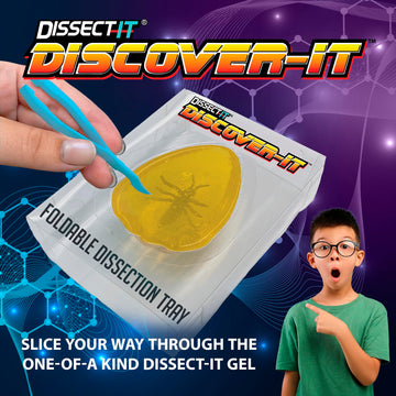 Dissect It Top Secret Toys Discover-It Dissection Kit for Kids, Ancient Amber, Model 1131B, Science Lab for Ages 5+