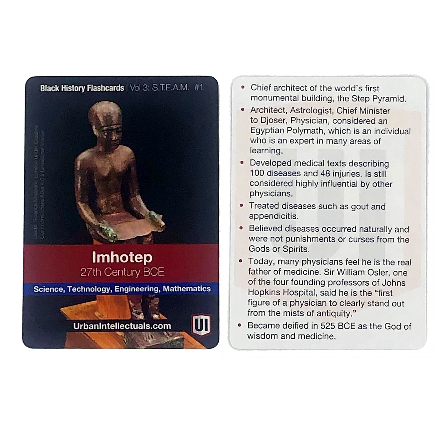 Urban Intellectuals Black History Flashcards - Volume 3 STEM & Arts Edition - Educational Trivia Cards for Adults & Classroom Activities