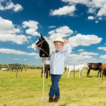 Hollyhome Outdoor Stick Horse With Wood Wheels Real Pony Neighing And Galloping Sounds Plush Toy Black 36 Inches(Aa Batteries Required)