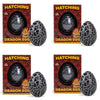 Class Collections Surprise Growing Dragon Hatch Egg Kids Novelty Toy - Pack Of 4, Black