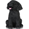H&W Black Labrador Dog Coin Money Bank, Shatterproof Dog Piggy Bank, Creative Money Bank, Can Store 1000 Coins, Best Bitrthday Gift (Wk34-D3)