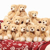 Maogolan 12 Pack Teddy Bears In Bulk 14 Inch Stuffed Animals Set For Kids Small Stuffed Bears Bulk Teddy Bear For Wholesale, Bab