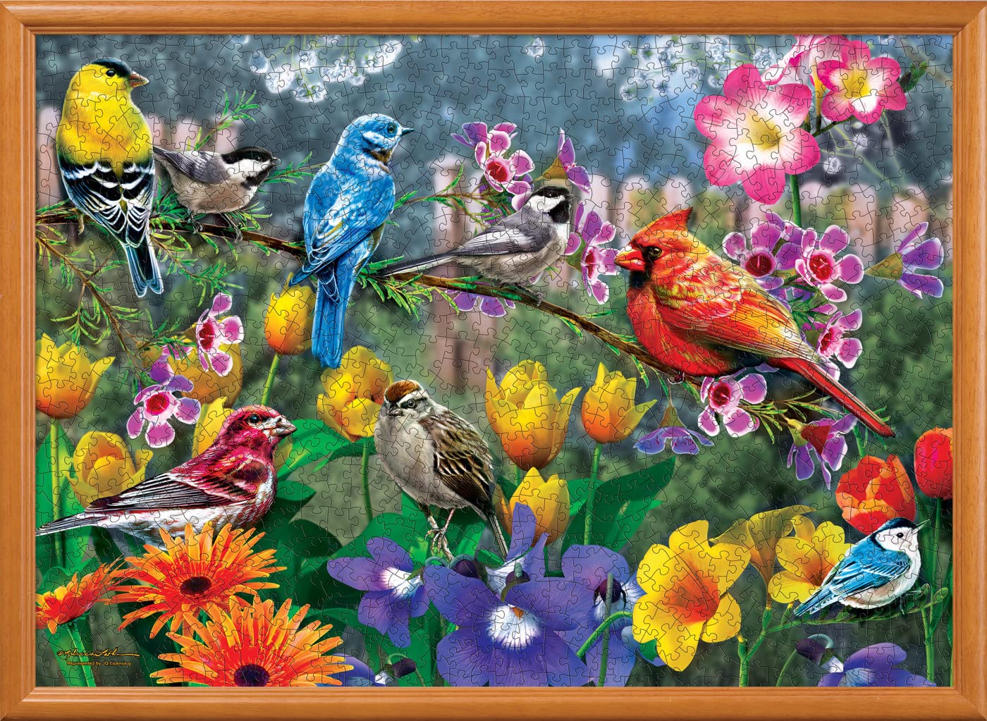 Morning Garden 1000 Pc