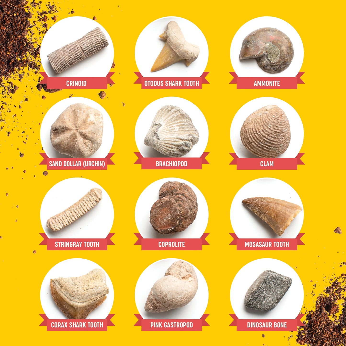 Dan&Darci Real Fossil Dig Kit For Kids - Easter Science Kits For Boys & Girls Age 8-12 - Birthday Gift Ideas For 8, 9, 10, 11, 12 Year Old Boy Or Girl - Fossils Digging Stem Toys For Ages 8-13