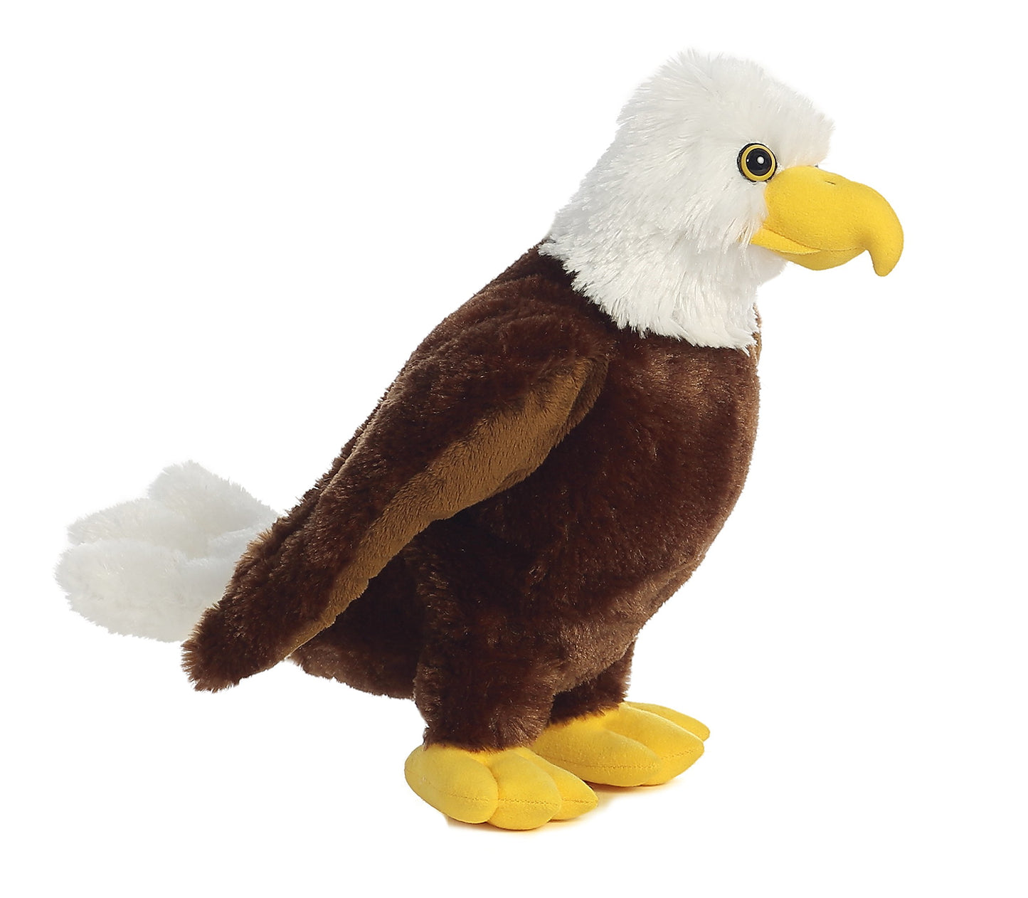 Aurora - Destination - 12' Eagle
