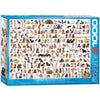 The World Of Dogs