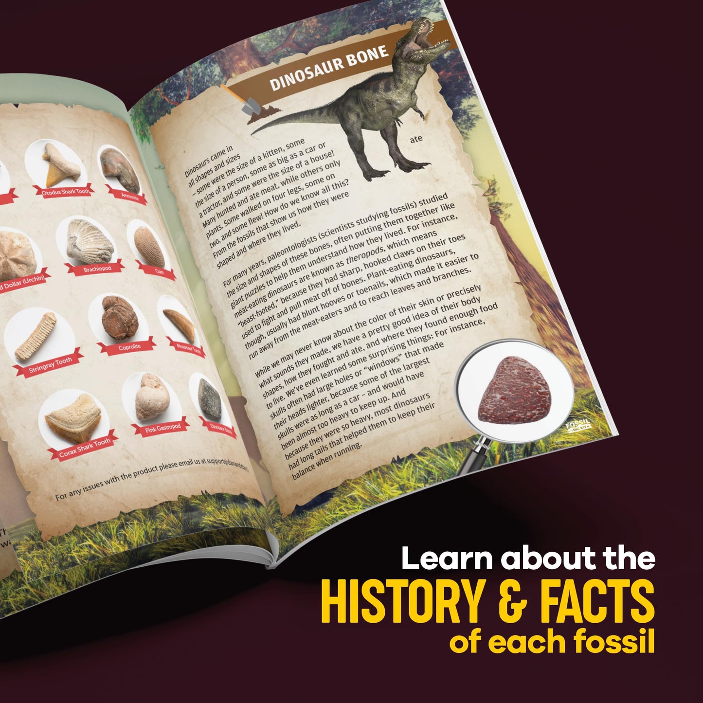 Dan&Darci Real Fossil Dig Kit For Kids - Easter Science Kits For Boys & Girls Age 8-12 - Birthday Gift Ideas For 8, 9, 10, 11, 12 Year Old Boy Or Girl - Fossils Digging Stem Toys For Ages 8-13