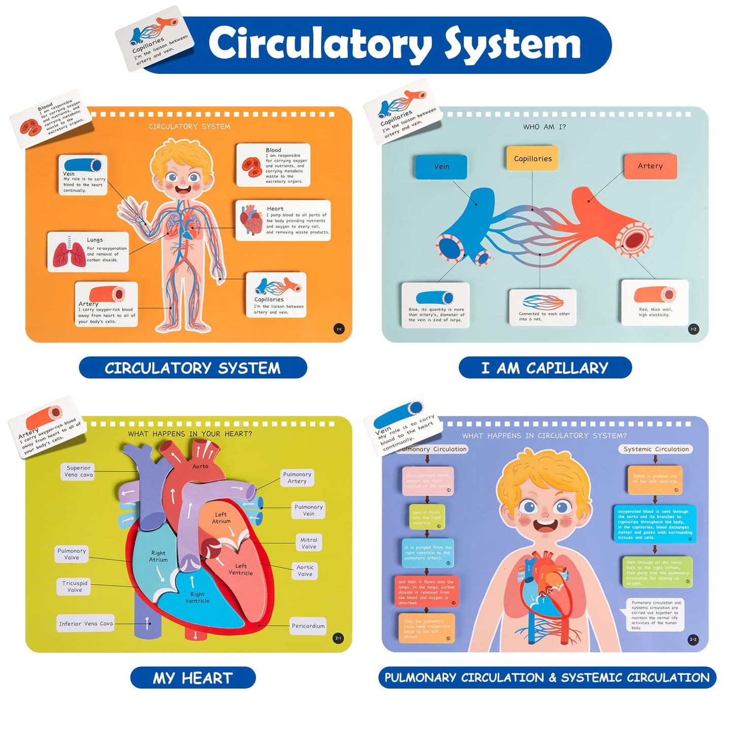 Freebear Montessori Busy Book - Human Body Anatomy for Toddlers, Sensory Learning Activities, Gifts for Kids 4-7 Years, Medium Size