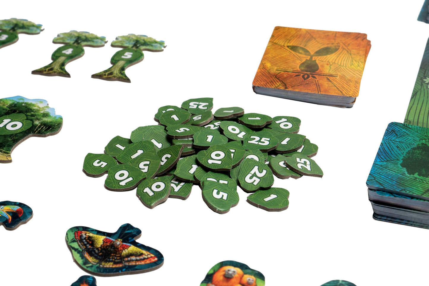 Weird City Games: Canopy, Card Game, Fast And Fun Gameplay, Features 25 Unique Species Of Rainforest Animals And Plants, Solo Or Multiplayer Option, For Ages 8 And Up