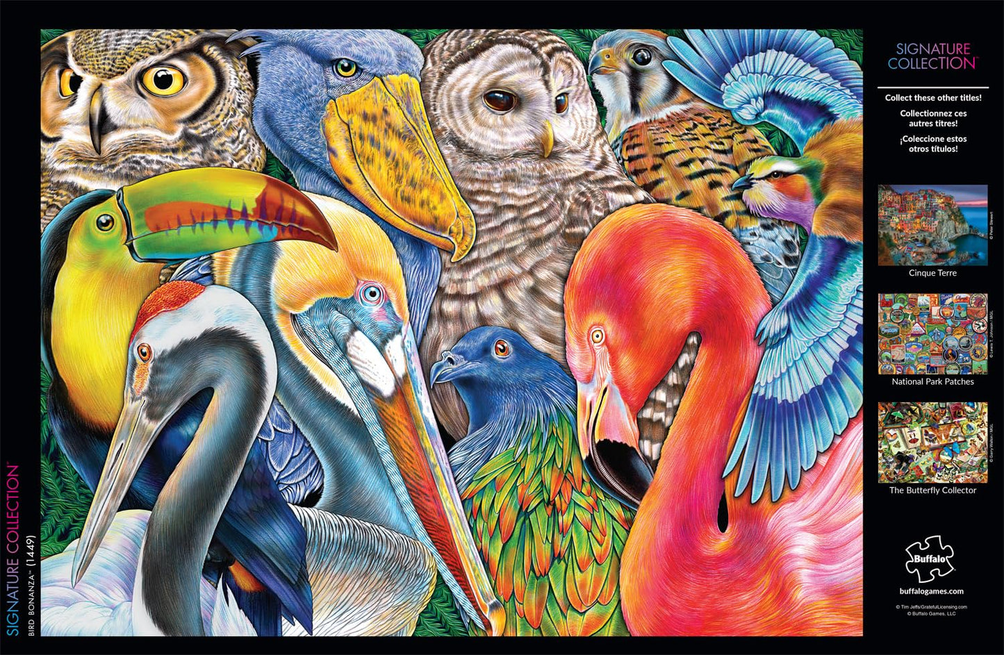 Buffalo Games - Tim Jeffs - Bird Bonanza - 1000 Piece Jigsaw Puzzle For Adults -Challenging Puzzle Perfect For Game Nights - Finished Size Is 26.75 X 19.75