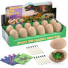 Bigear Dinosaur Eggs Excavation Dig Kit - Dinosaur Toys For Kids - Break Open 12 Dinosaur Eggs And Discover 12 Cute Dinosaurs - Archaeology Preschool Science Stem Crafts Birthday Gifts For Boys Girls