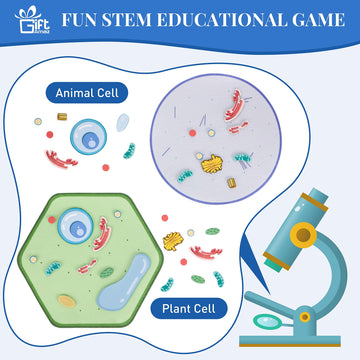 Giftamaz Animal And Plant Cell Anatomy Model, Soft Felt Toy, Early Cell Biology And Life Science Stem Toys, Classroom Teaching Aid, Educational Learning Activities Stem Birthday Toys For Kids 6+
