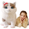 Tumyay Giant Ragdoll Cat Stuffed Animal Plush Soft Toy,Large Toys Jumbo 26'' Cute Big Size Huge Plushy Plushie,Birthday Gifts Fo
